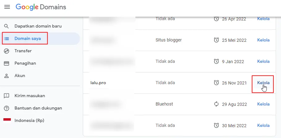 kelola google domains