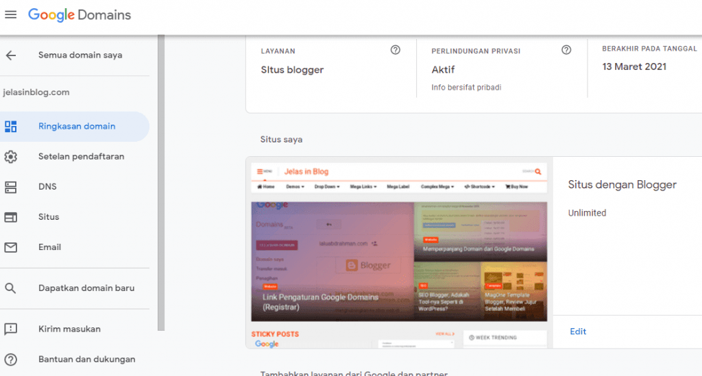 link pengaturan google domains