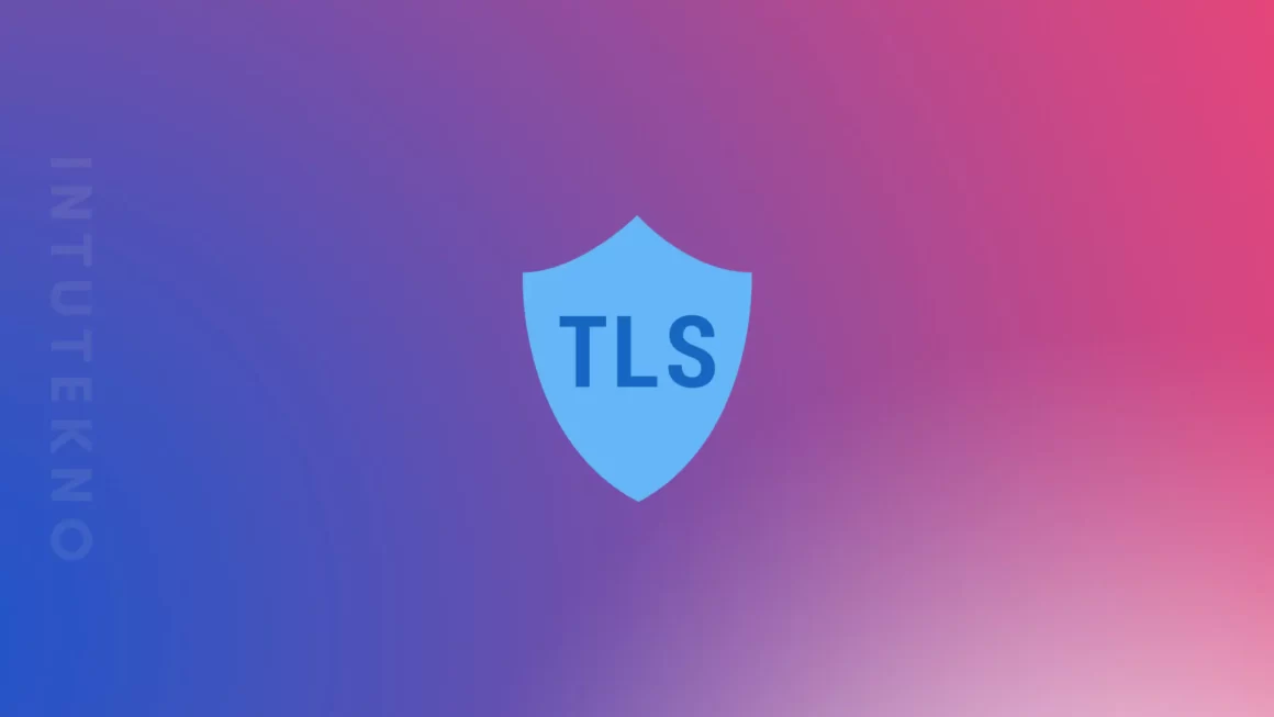 Apa itu TLS (Transport Layer Security)