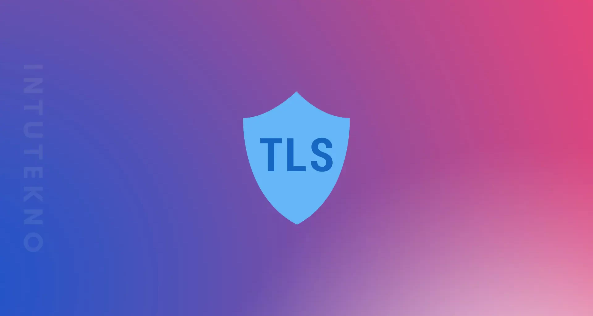 Apa itu TLS (Transport Layer Security)