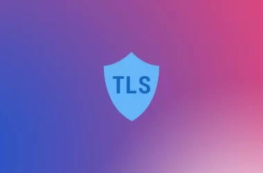 Apa itu TLS (Transport Layer Security)