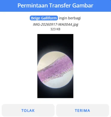 transfer file dari hp ke laptop